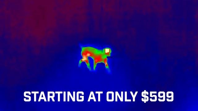 FLIR Scout TK: Thermal Awareness at Night смотреть онлайн