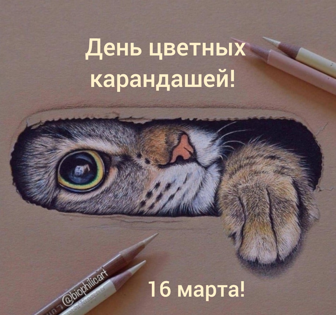 День цветных карандашей! смотреть онлайн