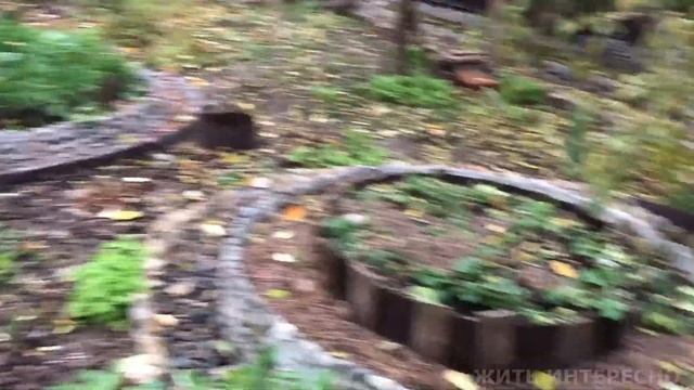 ОКТЯБРЬСКИЙ КАЛЕЙДОСКОП : КАМНИ НА ЦЕМЕНТ , ЗИМУЮЩИЕ ЦВЕТЫ, ВЕНКИ И ПРОЧЕЕ. смотреть онлайн