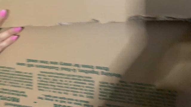 DIY Life Size Barbie Box! | Under $50 | Dollarama & Dollar Tree смотреть онлайн