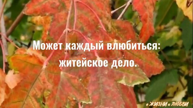 Трогательные стихи.Осенне-летний роман. смотреть онлайн