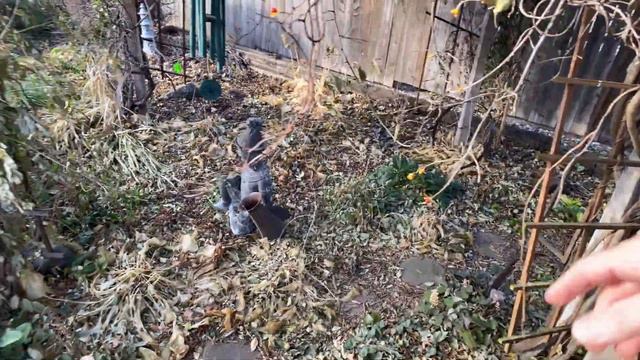 Garden Clean Up And Composting Before Winter [Garden Talk Episode #15]