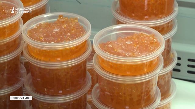 Выставка-продажа «Та самая рыба Камчатского края» приехала в Унечу смотреть онлайн