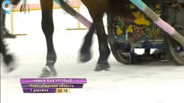 В Бердск стал центром сельского спорта. Чем удивили Всероссийские сельские зимние игры?