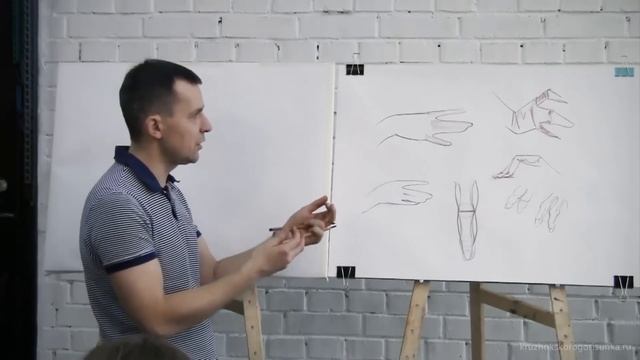 Лекция Александра Рыжкина об анатомии конечностей смотреть онлайн