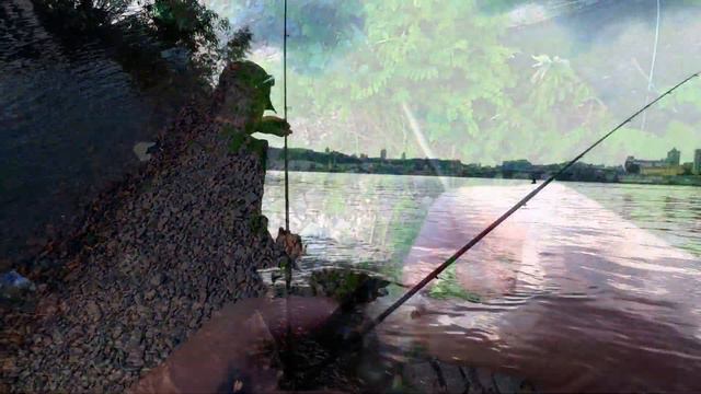 Ловля хищника на живца в Днепре. смотреть онлайн