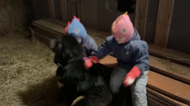 ПЕРЕСТРОЙКУ В ДОМЕ ПРИДЕТСЯ ПРИОСТАНОВИТЬ?! РЕМОНТ ПРОДОЛЖАЕТСЯ! ЖИЗНЬ ПРОСТЫХ ЛЮДЕЙ В ДЕРЕВНЕ! смотреть онлайн