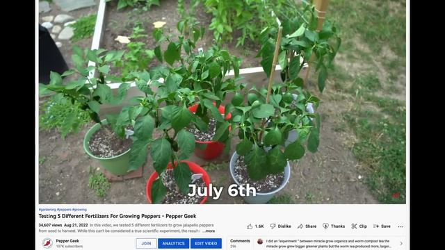 Which Is The BEST JALAPEÑO Pepper? Tasting 8 Varieties - Pepper Geek смотреть онлайн