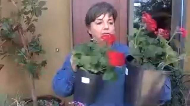 Garden & Country Extension: Container Gardening, Too! смотреть онлайн