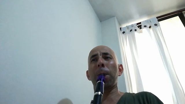 "Vivo por Ella". (Gatto Panceri). Versión para Clarinete. смотреть онлайн