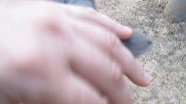 Землянка выживание! Харьков! Харьковская область! своими руками! реальные советы! кошки коты собаки смотреть онлайн
