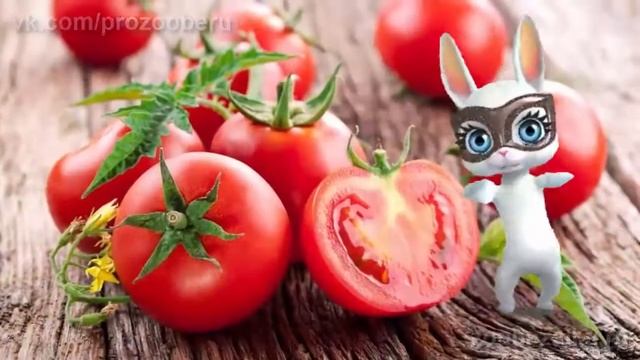 Отдохнули, блин, лучше некуда! Шуточная песня прикол дачников огородников ZOOBE смотреть онлайн