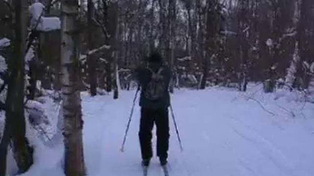 Лошары на лыжне 2 смотреть онлайн
