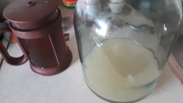 Чайный гриб из уксусной матки? смотреть онлайн