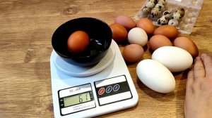 КАКИЕ ЯЙЦА ПОЛЕЗНЕЕ. ВСЁ О ГУСИНЫХ ЯЙЦАХ