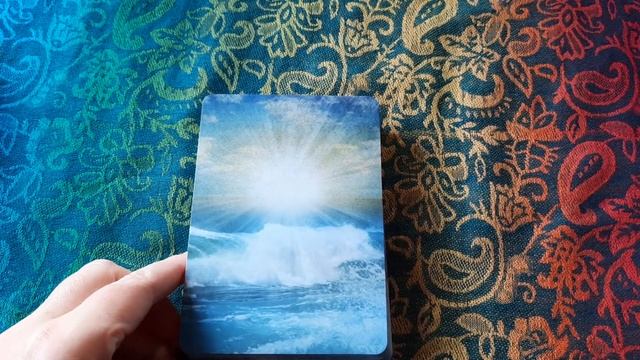 My Oracle Deck Collection 2/4 смотреть онлайн
