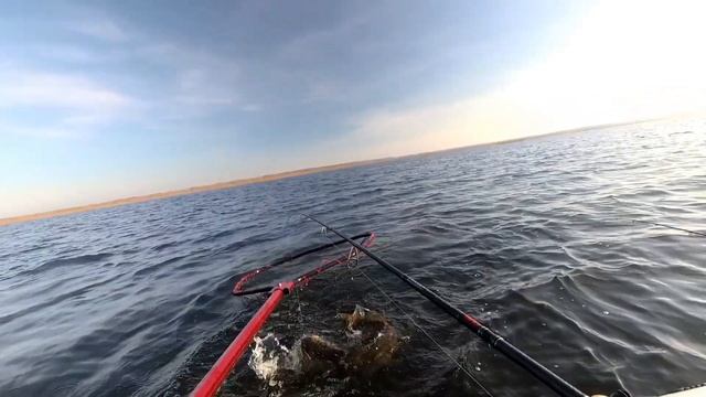 Лучшие рыбалки ноябрь 2022 смотреть онлайн