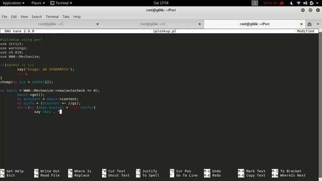 Perl IP LOOK UP смотреть онлайн