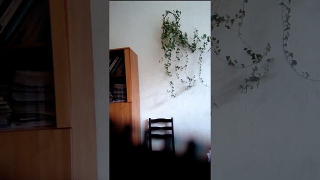 Как в Филиале СПП Прожектор ОАО Витебскхлебпром видут начисления по зароботной оплате смотреть онлайн