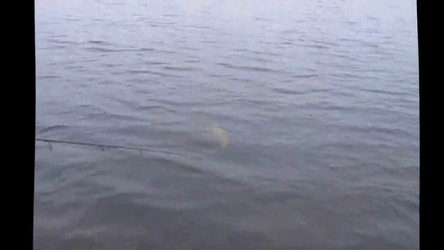 Ловля щуки осенью на озерах смотреть онлайн