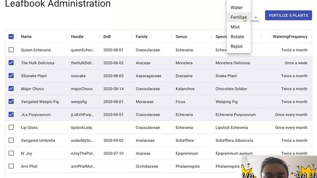 LeafBook Authentication & Admin panel смотреть онлайн