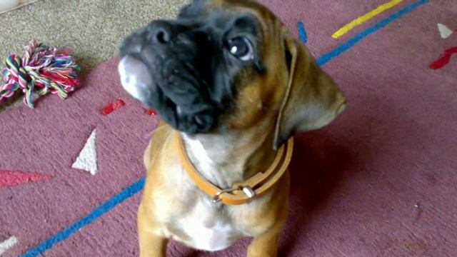 Betty 12 06 2007 смотреть онлайн