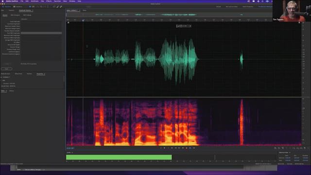 PGM VO List Seminar - Advanced Audio with Tim Tippets смотреть онлайн