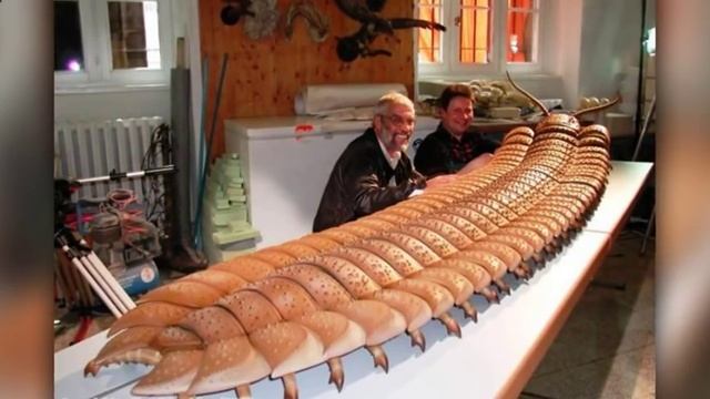 10 ВЫМЕРШИХ ЖИВОТНЫХ1 смотреть онлайн
