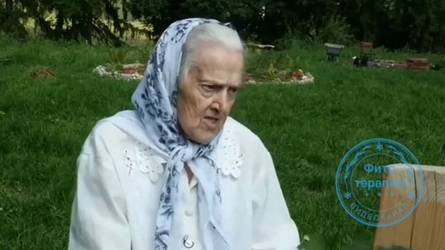 #фитотерапия #лопух #травница Корень лопуха смотреть онлайн