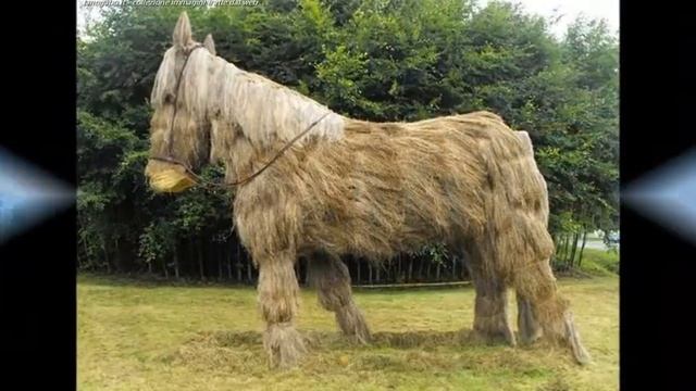 Необычные оригинальные скульптуры из соломы и сена смотреть онлайн