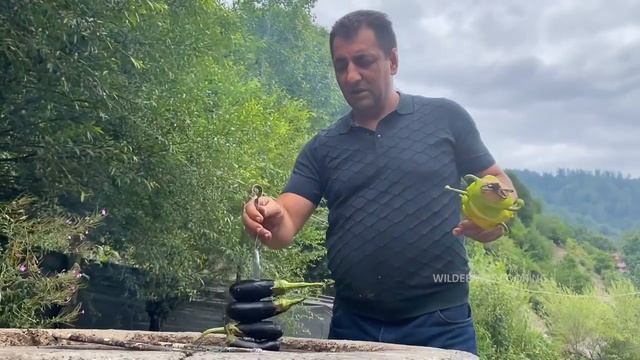 ЛУЧШИЙ РЕЦЕПТ ШАШЛЫКА-КЕБАБА / ШАШЛЫК ИЗ ОВОЩЕЙ И БАРАНИНЫ / ПРИГОТОВЛЕНИЕ ШАШЛЫКА В ДИКОЙ ПРИРОДЕ смотреть онлайн