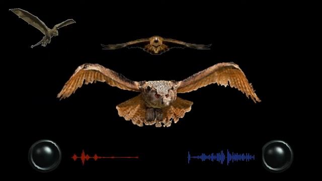 ?Эти звуки прогонят ворон/This sounds against the crows смотреть онлайн