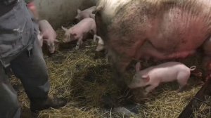 Терминал радует своими привесами