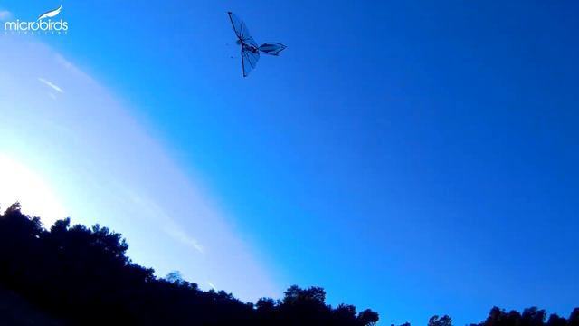 RC Ornithopter Flapping Bionic Radio Control Bird Drone Hobby Toy Kit Airplane смотреть онлайн