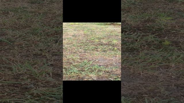 Человек на земле