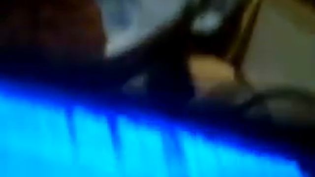 Лера кот смотрит смотреть онлайн