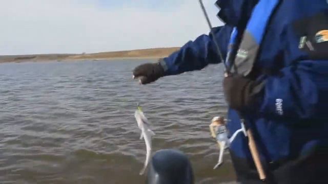 Судак на джиг. Весна на Волге.Золотая Унция 18 смотреть онлайн