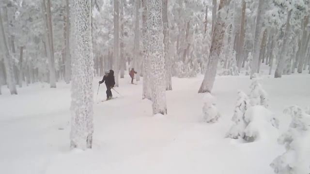 Travesía Navacerrada смотреть онлайн