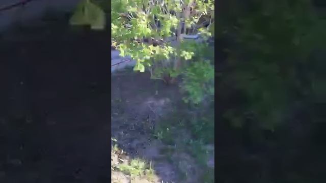 I L O N скачать клипы смотреть онлайн