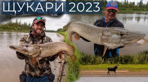 Щукари 2023. Рыбалка на джеркбейты. DF 86