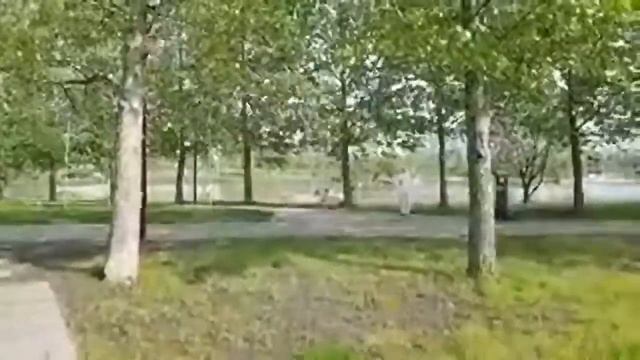 БОГИНЯ АНАИТ. ВЕДЬМИНА ИЗБА ▶️ ИНГА ХОСРОЕВА смотреть онлайн