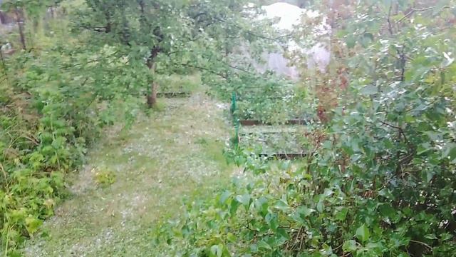 Мощный ливень с градом обрушился на Москву и Московскую область 7 августа 2022/Новости/Последствия смотреть онлайн