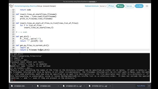 Un virus en Python смотреть онлайн