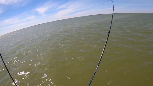 nobody can explain this speckled trout.. sometimes you get lucky fishing смотреть онлайн