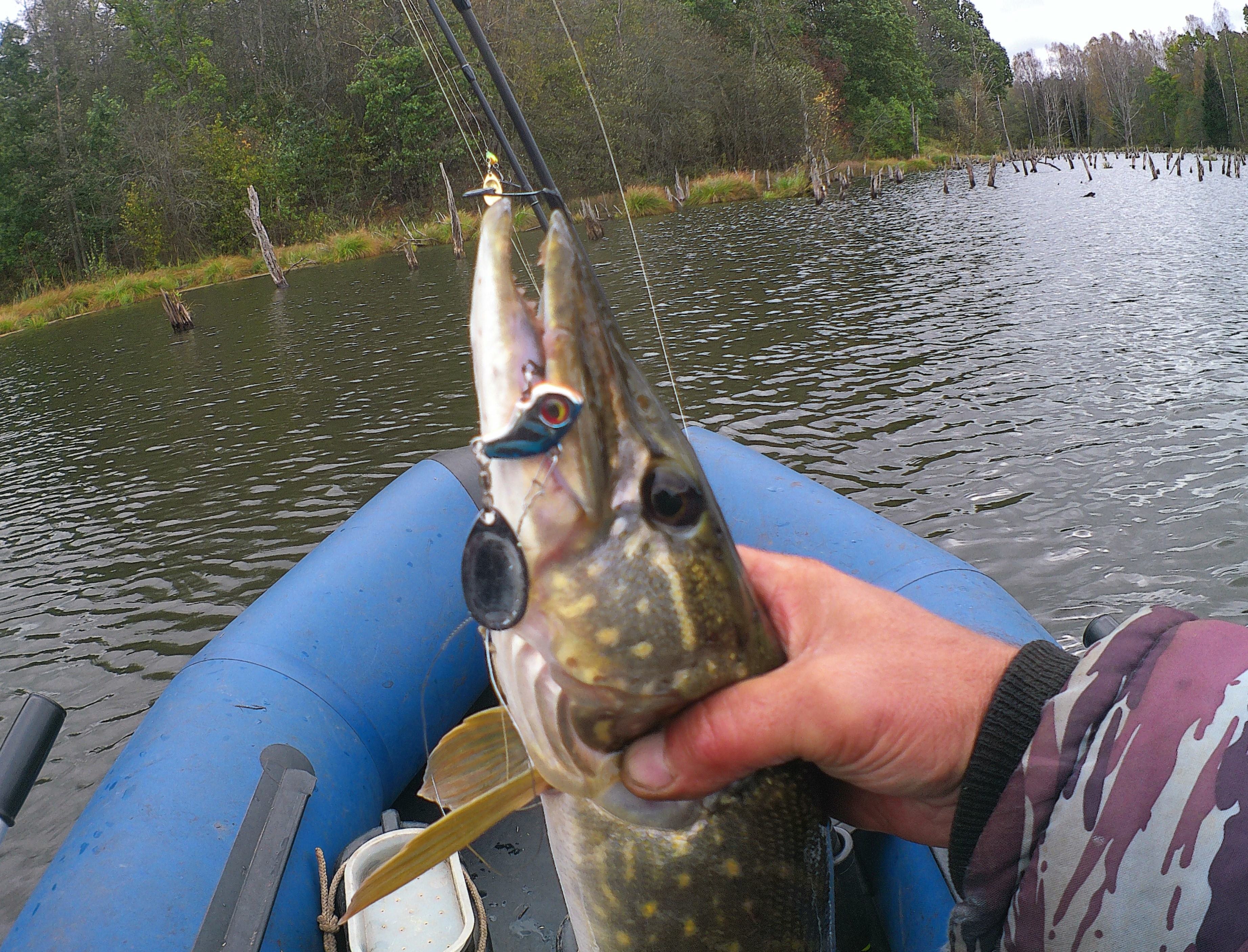 Осень 2023 (8) - Осенний шторм(2)!