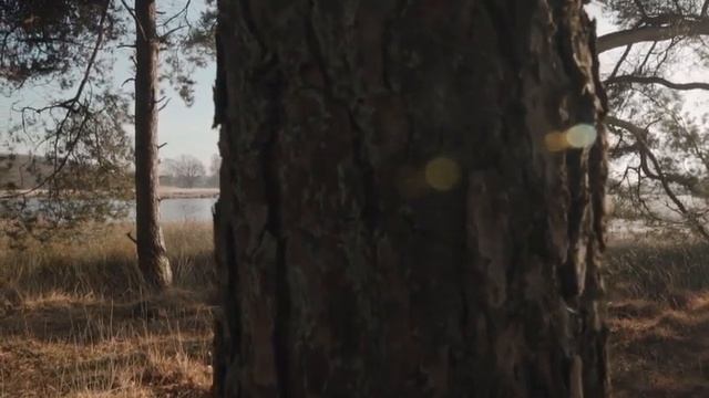 Водяница .Дана и князь смотреть онлайн