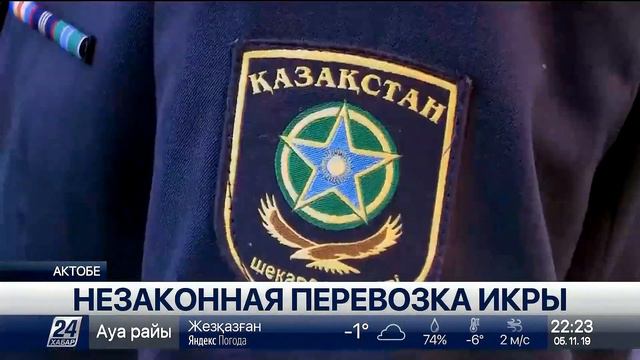 Незаконная перевозка икры смотреть онлайн