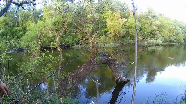 Вечерния рыбалка на фидер 2021 смотреть онлайн