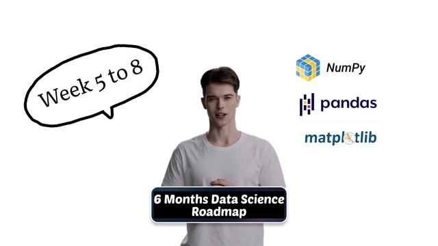Data Science Roadmap | 6 Months Plan | With All Free Resources смотреть онлайн