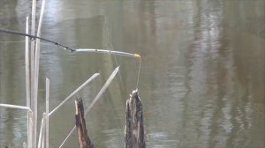 ЧТО ЖЕ Я РАНЬШЕ ТАК НЕ ЛОВИЛ! Ловля ПЛОТВЫ на боковой кивок!